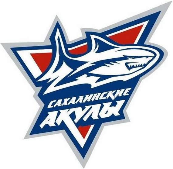 Sakhalinskie Akuly 2014-Pres Primary Logo iron on transfers for clothing